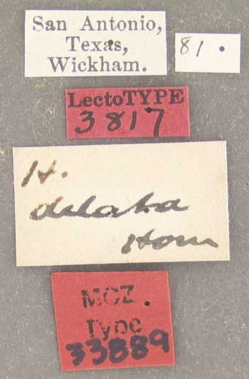 Media type: image;   Entomology 33889 Aspect: labels